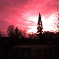 Красивый вечер :: Людмила Смородинская