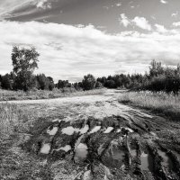 Фотография :: Денис Безногов Фотография :: Денис Безногов