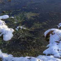 У берега :: Сергей Цветков У берега :: Сергей Цветков