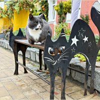 На скамеечке. :: Валерия Комова На скамеечке. :: Валерия Комова