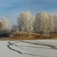 Застыли реки и земля застыла... :: nadyasilyuk Вознюк Застыли реки и земля застыла... :: nadyasilyuk Вознюк
