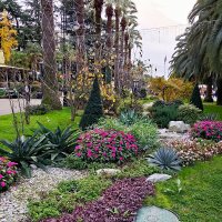 ул.Навагинская :: Tata Wolf ул.Навагинская :: Tata Wolf