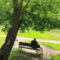 В тенечке :: Надежда В тенечке :: Надежда