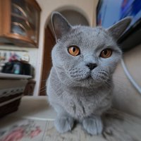 Под углом 157 градусов. :: Лютый Дровосек Под углом 157 градусов. :: Лютый Дровосек