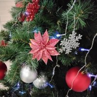 Новогодняя красота :: Дмитрий Никитин Новогодняя красота :: Дмитрий Никитин