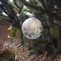 На новогодней ёлке :: Freddy 97