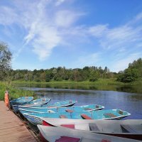 *** :: Зоя Мишина