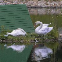 любимая, спи! :: Владимир Зеленцов любимая, спи! :: Владимир Зеленцов