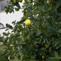 толи весна, толи зима :: ujgcvbif 