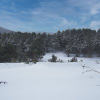 Аргинский заказник :: Владимир Кириченко Аргинский заказник :: Владимир Кириченко