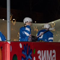 ... :: Анатолий. Chesnavik.