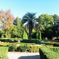 Адлер. Дендропарк "Южные культуры" :: Нина Бутко Адлер. Дендропарк "Южные культуры" :: Нина Бутко