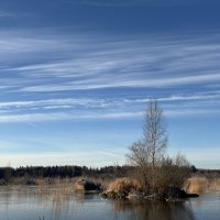 Чудесный день :: Ольга Савельева Чудесный день :: Ольга Савельева