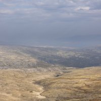 **** :: Алексей Соловьев