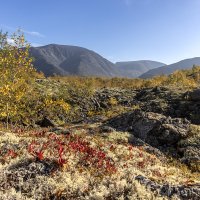 **** :: Алексей Соловьев **** :: Алексей Соловьев