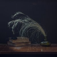 С ковылем :: Нина Кутина