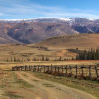 Курайские ландшафты :: елена беликова