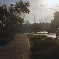 Утро  *Мигдаль аЭмек 2025г :: ujgcvbif 