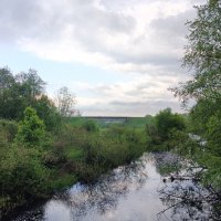 д.Белошкино :: Артем 