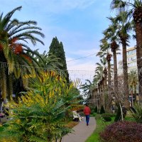 Сочи. Навагинская :: Tata Wolf Сочи. Навагинская :: Tata Wolf