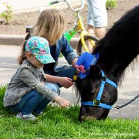 ... :: Светлана Ищенко