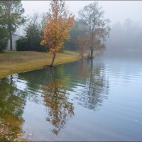 Утро :: **** vedin