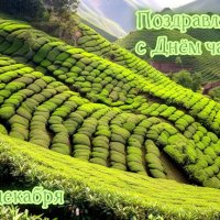 С Днём чая! :: Валерий Иванович С Днём чая! :: Валерий Иванович