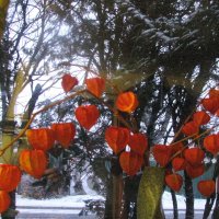 Букетик для настроения :: Людмила Смородинская Букетик для настроения :: Людмила Смородинская