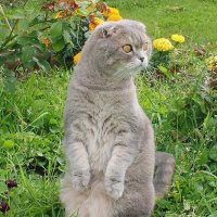 На посту! :: Галина Нестратова На посту! :: Галина Нестратова