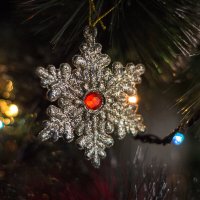 НГ :: Тамара Федорова