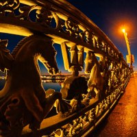 Решётка моста Лейтенанта Шмидта :: Олег Загорулько