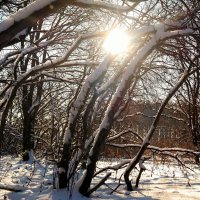 Редкое солнышко декабрьских рассветов.. :: Андрей Заломленков Редкое солнышко декабрьских рассветов.. :: Андрей Заломленков