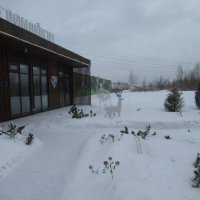 Олени днем :: Андрей Макурин Олени днем :: Андрей Макурин