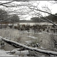 *** :: Aleksandr Gal *** :: Aleksandr Gal