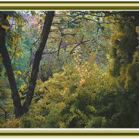 Осенняя зарисовка :: Владимир Кроливец