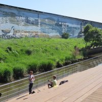 На речке Корсаковке :: ИРЭН@ . На речке Корсаковке :: ИРЭН@ .