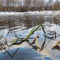 ***** :: юрий поляков