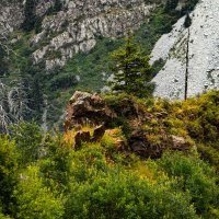 СНОВА БАК :: HART BAD