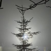 *** :: Яна Горбунова