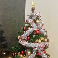 Наша елочка на работе. :: Serega SchütZ Наша елочка на работе. :: Serega SchütZ