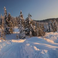 В Горном Алтае :: елена беликова