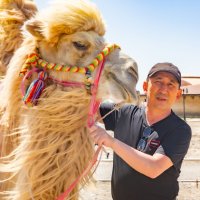 - :: Алтынбек Картабай 