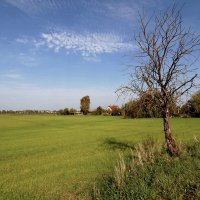 Одиночество. :: Николай 