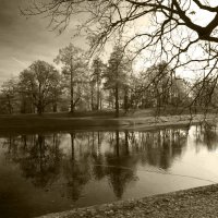 В парке :: Наталья 