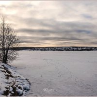Про декабрь... :: Aquarius - Сергей Про декабрь... :: Aquarius - Сергей