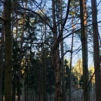 "Объятия" :: Dar(k) Life "Объятия" :: Dar(k) Life