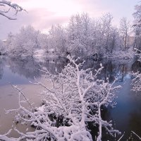 Зимний день :: Сергей Кочнев