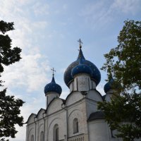 ...в суздальский кремль :: Галина R... ...в суздальский кремль :: Галина R...