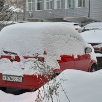 Подснежники :: ирина Подснежники :: ирина