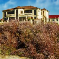 Актау :: Анатолий Чикчирный Актау :: Анатолий Чикчирный